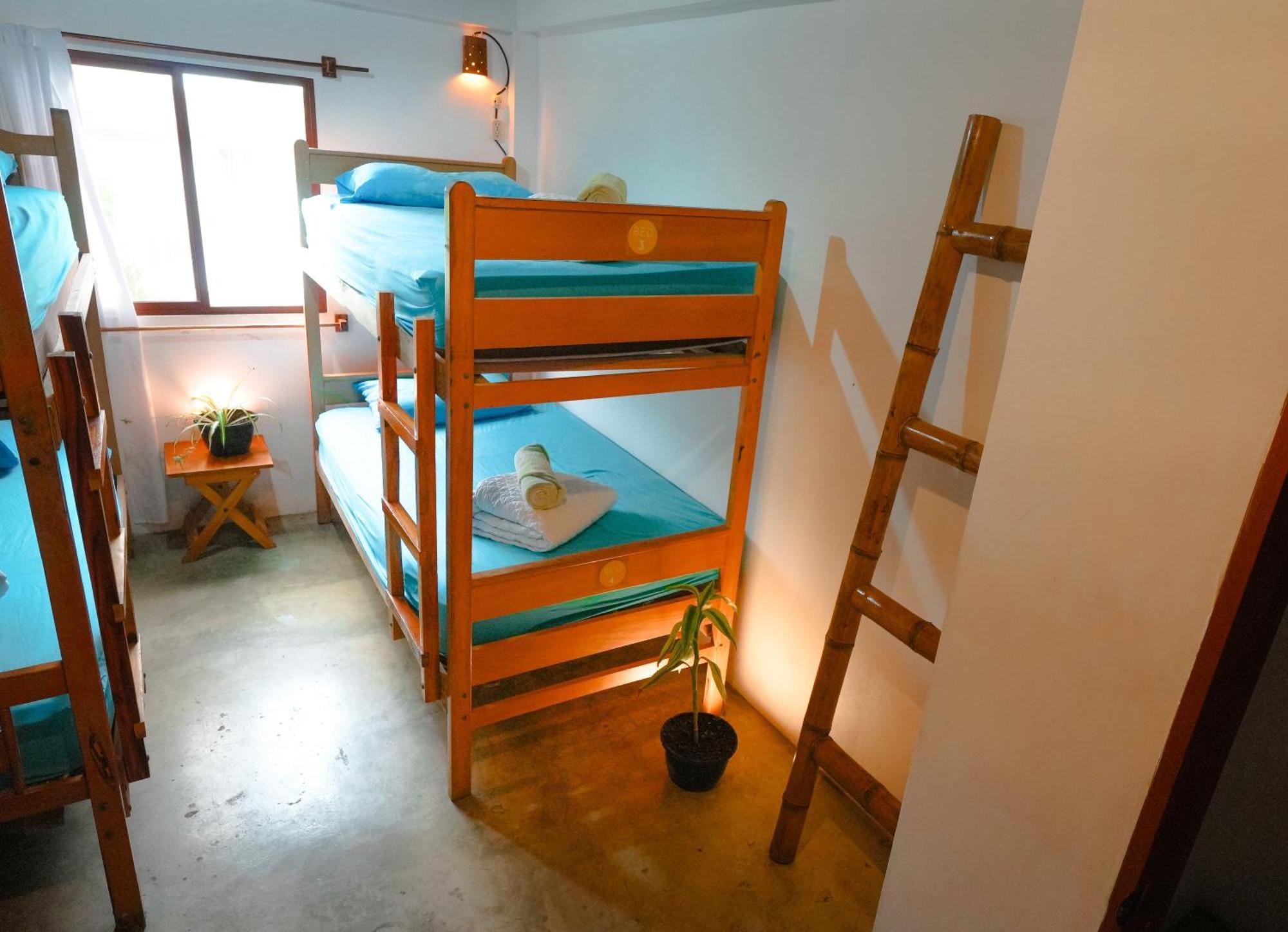 Hostel Hermanos Perdidos Surf